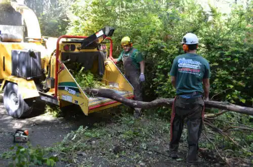 tree services Greenbrier